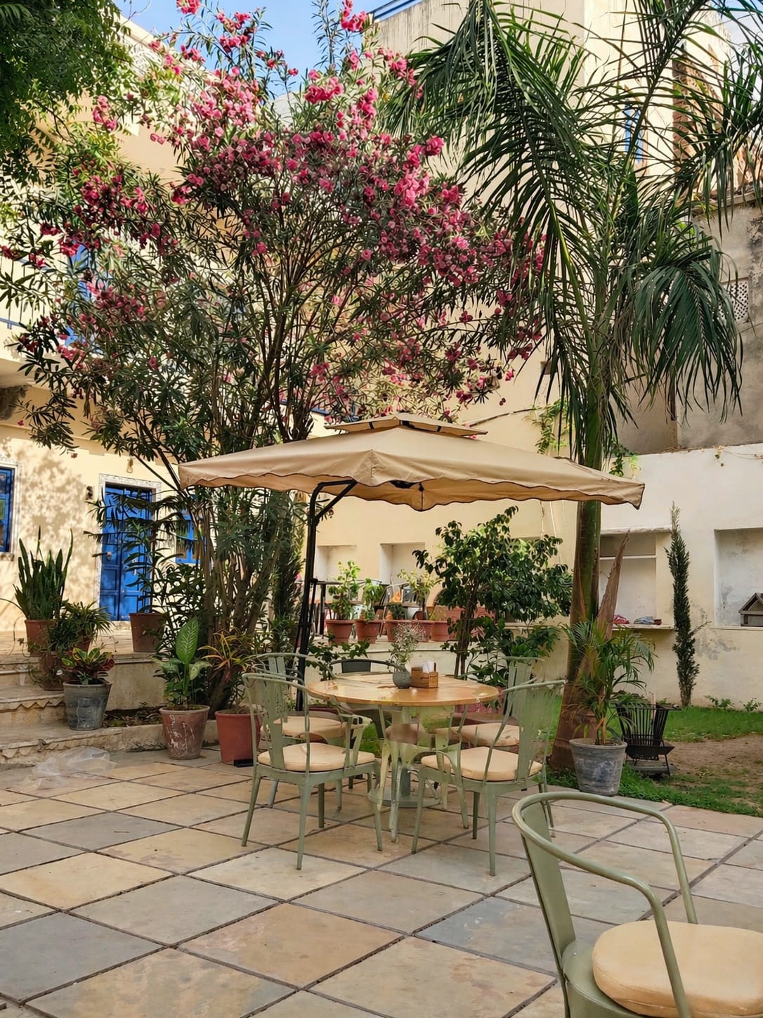Terrace